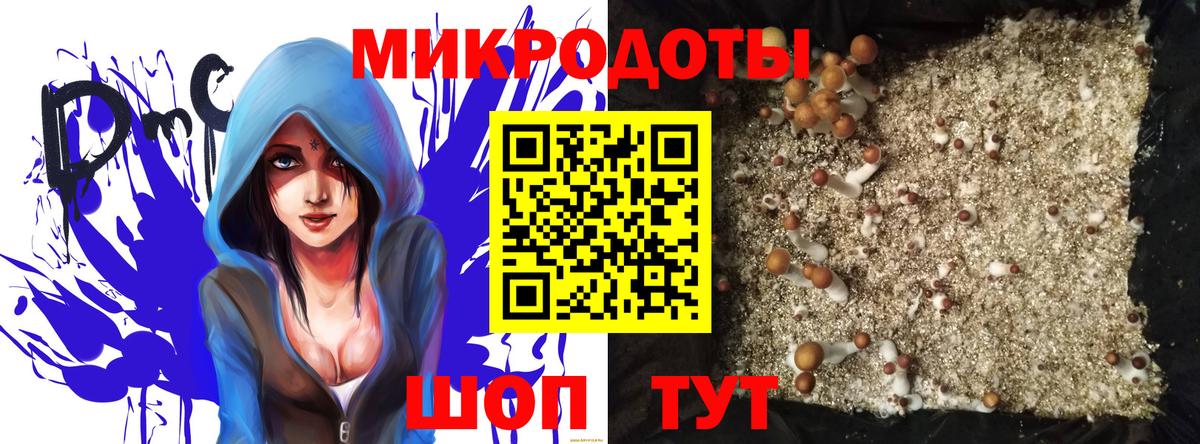 Псилоцибиновые грибы Psilocybine cubensis Нурлат